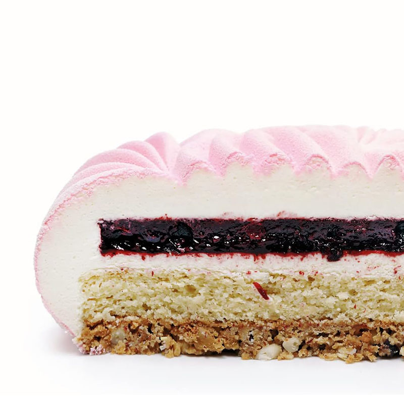 Round Mousse Cake Pan For Baki - Kitchen Gadgets Oxo ulasan dan harga