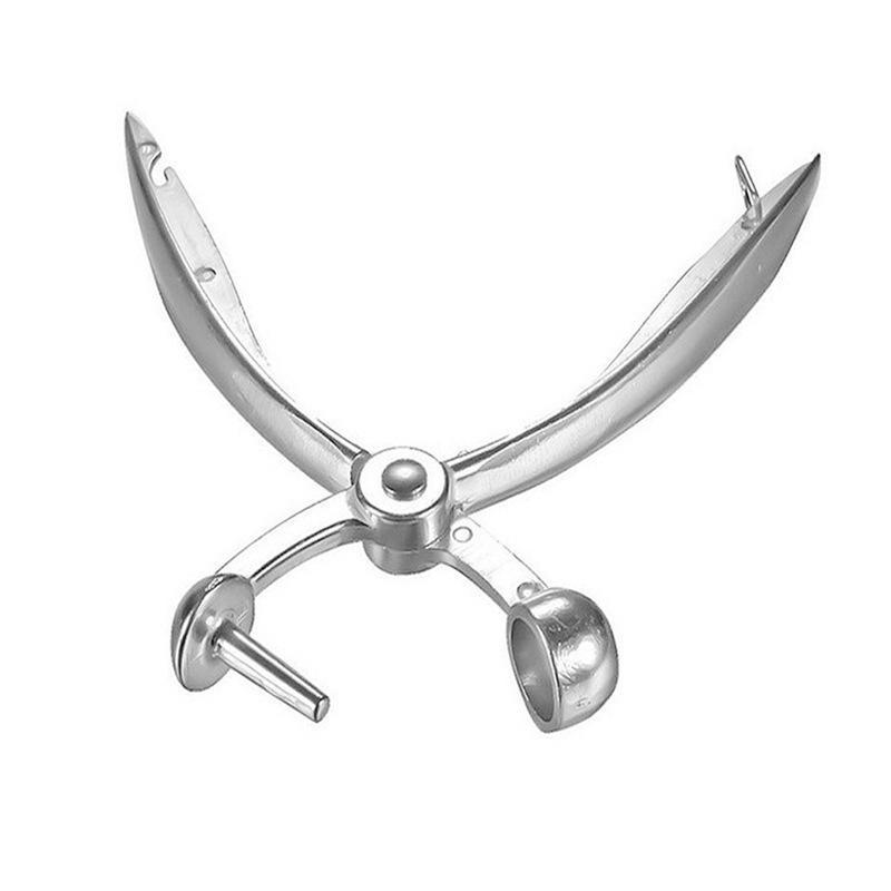 Fruit Pitter Cherry Jujube Cor - Kitchen Gadgets In ulasan dan harga